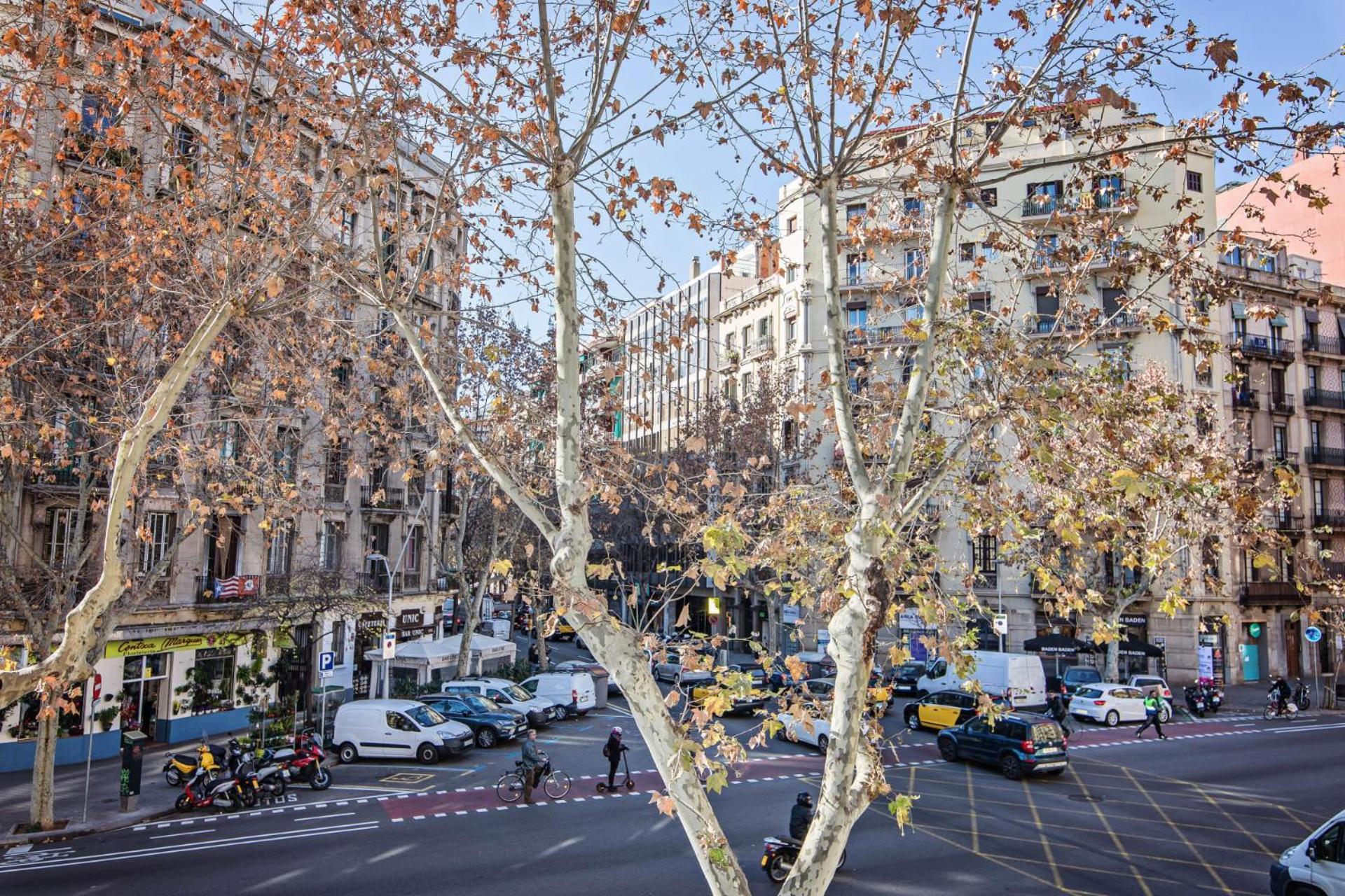 Comte Urgell Apartman Barcelona Kültér fotó